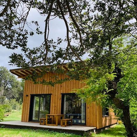 Kingfisher De Los Andes Вила Меликина Екстериор снимка