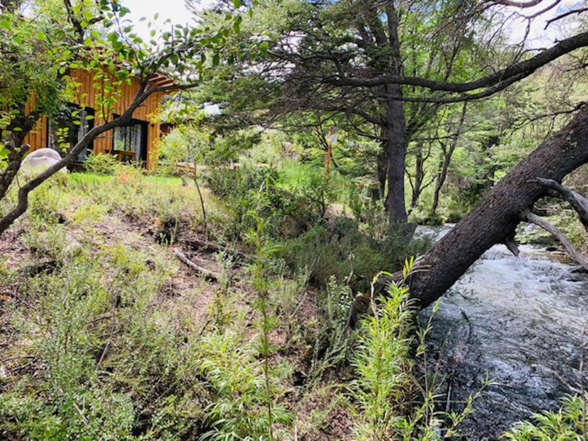 Kingfisher De Los Andes Вила Меликина Екстериор снимка